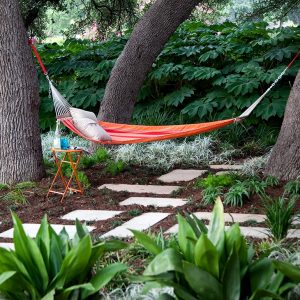 Hammock