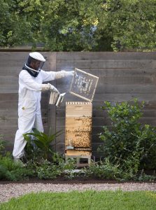Bee keeper